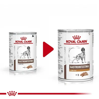 Две консерви Royal Canin Gastrointestinal Low Fat за кучета, показващи промяна в дизайна на опаковката с червена стрелка между тях.