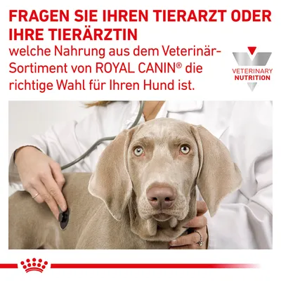 Pitajte svog veterinara koju hranu iz veterinarskog asortimana Royal Canin odabrati za svog psa.