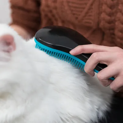 Ruka drží černý kartáč s modrými štětinami, který upravuje bílou srst zvířete.