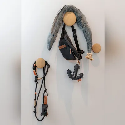 Ensemble d’accessoires pour chien BENSONIC : laisse noire, pochette, jouet en forme d’ancre et peluche grise suspendus à des patères murales en bois. Marques visibles : BENSONIC.