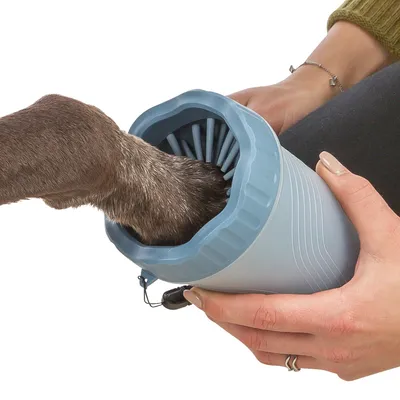 Patte de chien insérée dans un gobelet bleu muni de brosses internes, tenue par une main humaine. Produit en plastique visible, sans marque apparente.