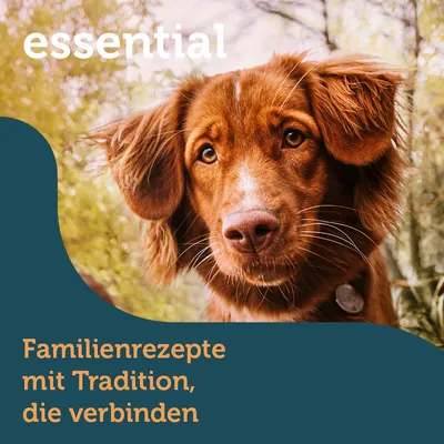essential. Familienrezepte mit Tradition, die verbinden.
