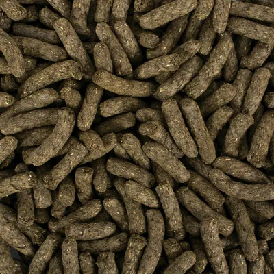 Primo piano di pellet marroni e allungati. La struttura e il colore indicano un alimento secco.