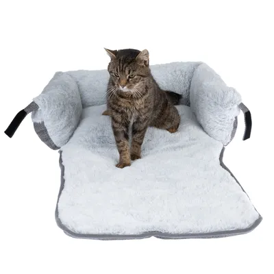 Katzenbett mit weicher, grauer Polsterung und erhöhten Seitenwänden. Katze sitzt auf der Liegefläche.