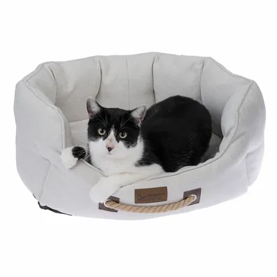 Modern Living kattsäng av tyg med repgrepp, svartvit katt ligger i.