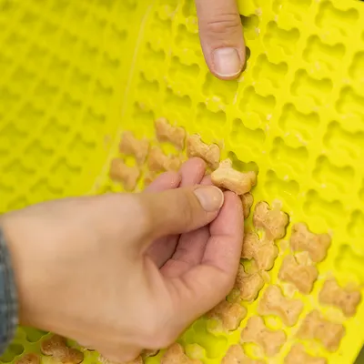 Hånd placerer små hundekiks i form af ben på en gul silikone måtte med udskæringer til godbidder. Materiale: silikone og tørre kiks synlige.