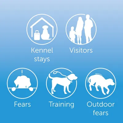 Icons and text showing product uses: kennel stays, visitors, fears, training, outdoor fears.