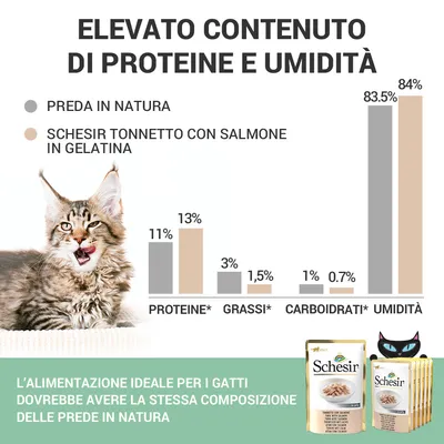 Grafico a barre: confronto tra preda in natura e Schesir Tonnetto con Salmone in Gelatina per proteine, grassi, carboidrati, umidità. Testo: 'Elevato contenuto di proteine e umidità'.