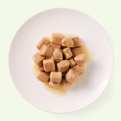Wit bord met natvoer in blokjes en gelei, geschikt voor huisdieren. Geen merknaam of verpakking zichtbaar.