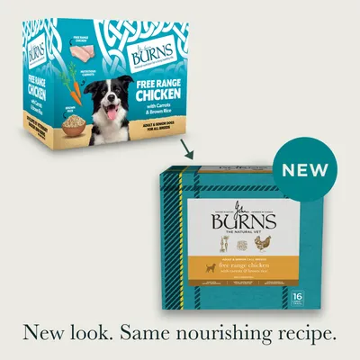 Burns Wet Food for Dogs 16 x 395g - Free-Range Chicken with Carrots & Brown Rice Burns Wet Food for Dogs 16 x 395g - Free-Range Chicken with Carrots & Brown Rice