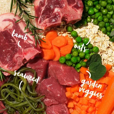 Image showing labelled ingredients: lamb, seaweed, oats, garden veggies including carrots and peas.