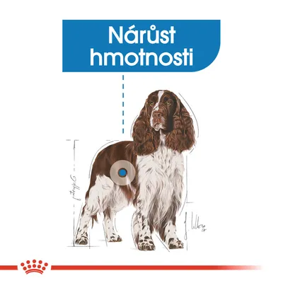 Ilustrace psa s modrým zvýrazněním a textem 'Nárůst hmotnosti' v horní části obrázku.