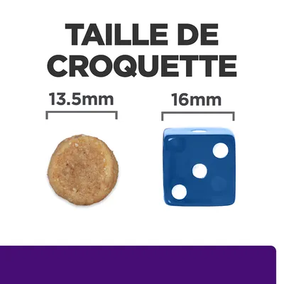 Taille de croquette : croquette ronde 13,5 mm à côté d’un dé bleu 16 mm pour comparaison visuelle des dimensions.