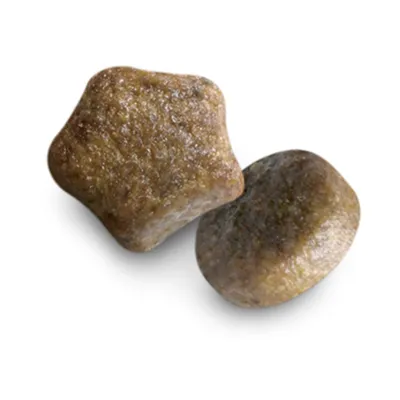 Close-up of two pieces of dry pet food kibble, showing their size and shape for product comparison.