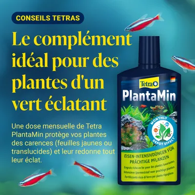 Tetra PlantaMin Engrais intensif au fer pour des plantes splendides. Une dose mensuelle protège contre les carences et redonne aux plantes toute leur couleur.