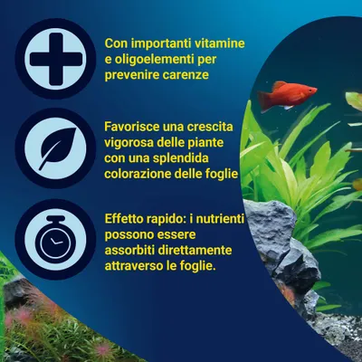 Vitamine essenziali e oligoelementi, favorisce una crescita vigorosa delle piante con una splendida colorazione delle foglie, effetto rapido: i nutrienti vengono assorbiti direttamente attraverso le foglie. Vitamine essenziali e oligoelementi, favorisce una crescita vigorosa delle piante con una splendida colorazione delle foglie, effetto rapido: i nutrienti vengono assorbiti direttamente attraverso le foglie.
