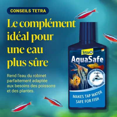 Tetra AquaSafe : Rend l'eau du robinet sûre pour les poissons, neutralise les substances nocives. Parfaitement adapté aux besoins des poissons et des plantes. Tetra AquaSafe : Rend l'eau du robinet sûre pour les poissons, neutralise les substances nocives. Parfaitement adapté aux besoins des poissons et des plantes.