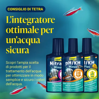Tetra consiglia additivi per l’acqua ottimali per una cura sicura dell’acquario. Selezione di prodotti per un trattamento dell’acqua semplice e sicuro, tra cui rimuovi-nitrati e regolatori di pH/KH.