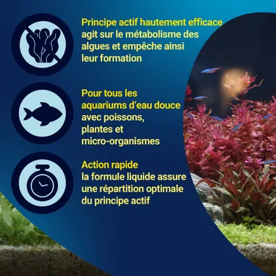 Description du produit : Principe actif empêchant la formation d’algues, adapté aux aquariums d’eau douce avec poissons, plantes et micro-organismes, action rapide grâce à une distribution optimale. Description du produit : Principe actif empêchant la formation d’algues, adapté aux aquariums d’eau douce avec poissons, plantes et micro-organismes, action rapide grâce à une distribution optimale.