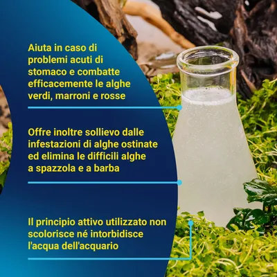 Aiuta nei problemi acuti dello stomaco, combatte le alghe verdi, marroni e rosse, elimina le alghe ostinate, il principio attivo non colora né intorbida l'acqua dell'acquario. Aiuta nei problemi acuti dello stomaco, combatte le alghe verdi, marroni e rosse, elimina le alghe ostinate, il principio attivo non colora né intorbida l'acqua dell'acquario.