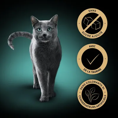 Sans sucre ajouté, avec de la taurine, sans colorants ni conservateurs artificiels – textes visibles à côté d’un chat gris sur fond vert foncé.