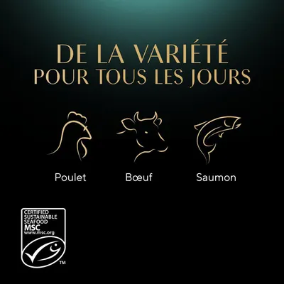 Texte : De la variété pour tous les jours. Illustrations et noms : Poulet, Bœuf, Saumon. Label MSC Certified Sustainable Seafood www.msc.org visible en bas à gauche.