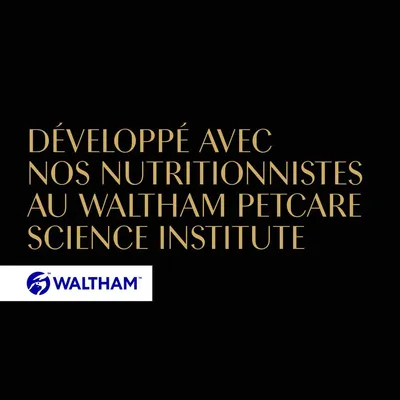 Développé avec nos nutritionnistes au Waltham Petcare Science Institute. WALTHAM.