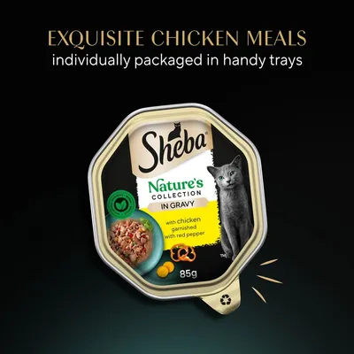 Sheba Nature's Collection in Gravy, with chicken garnished with red pepper, 85g tray. Exquisite chicken meals individually packaged in handy trays. Image shows product packaging and cat.