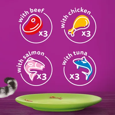 with beef x3, with chicken x3, with salmon x3, with tuna x3 feliratok angolul, hús, csirke, lazac és tonhal rajzával. Zöld tányér maradékkal, macskafarok látható.