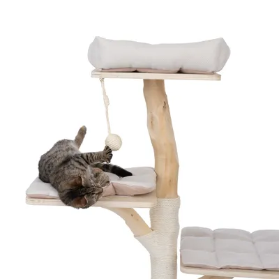 Kratzbaum aus Holz mit drei Ebenen, gepolsterten Liegeflächen und Spielball an Seil. Katze spielt auf mittlerer Ebene.
