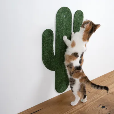 Chat tigré debout sur un griffoir mural en forme de cactus, fixé au mur, matériau corde verte visible. Sol en bois clair.