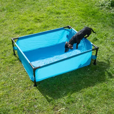 Blå hopfällbar hundpool med metallram, fylld med vatten. En liten svart hund står vid poolkanten på en grön gräsmatta.