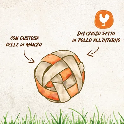 Con gustosa pelle di manzo, delizioso petto di pollo all'interno. Illustrazione di una palla intrecciata con simbolo arancione di pollo.