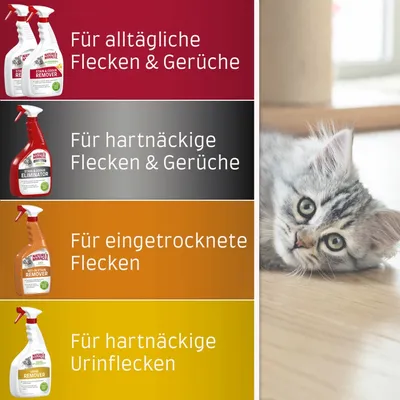 Nature's Miracle Produkte: Entferner für alltägliche Flecken & Gerüche, hartnäckige Flecken & Gerüche, eingetrocknete Flecken und hartnäckige Urinflecken. Katze rechts im Bild.