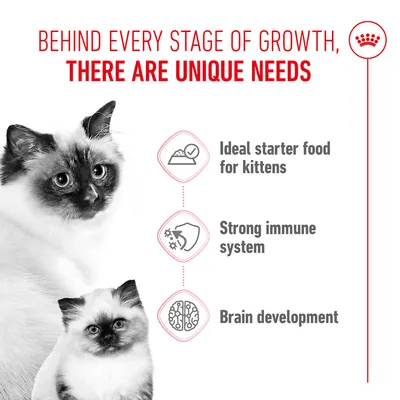 Behind every stage of growth, there are unique needs. Ideal starter food for kittens, strong immune system, brain development. Behind every stage of growth, there are unique needs. Ideal starter food for kittens, strong immune system, brain development.