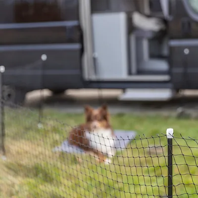 Schwarzes Netz mit Kunststoffpfosten, aufgestellt auf einer Wiese vor einem Wohnmobil. Unscharfer Hund im Hintergrund.