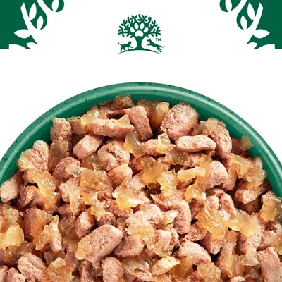 Chunks of meat in jelly served in a green bowl, shown close up to display texture and consistency.