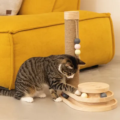 Chat tigré jouant avec un arbre à chat en bois et sisal, équipé de boules colorées sur une piste circulaire et d’un jouet suspendu à perles. Canapé jaune en arrière-plan.