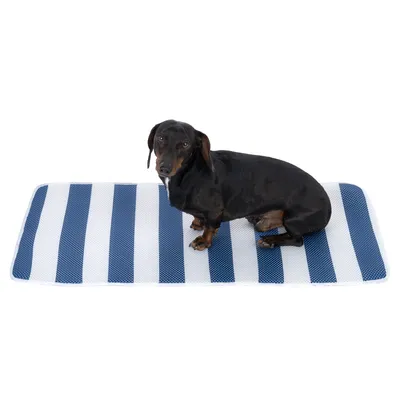 Svartbrun tax sitter på en blåvit randig matta. Produkten visar användning av mattan av husdjur.