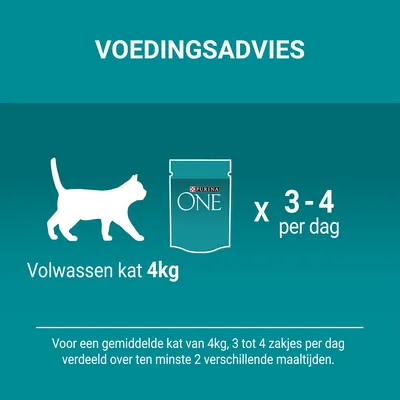 Voedingsadvies voor volwassen kat 4 kg: Purina ONE, 3–4 zakjes per dag, verdeeld over minimaal 2 maaltijden. Tekst: Voor een gemiddelde kat van 4 kg, 3 tot 4 zakjes per dag.