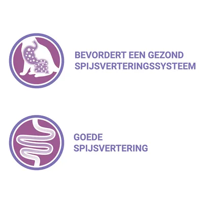 Bevordert een gezond spijsverteringssysteem. Goede spijsvertering.