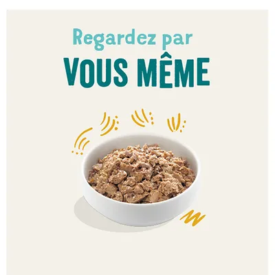 Bol avec de la nourriture humide hachée, entouré d'accents graphiques jaunes. Texte : 'Regardez par VOUS MÊME'.