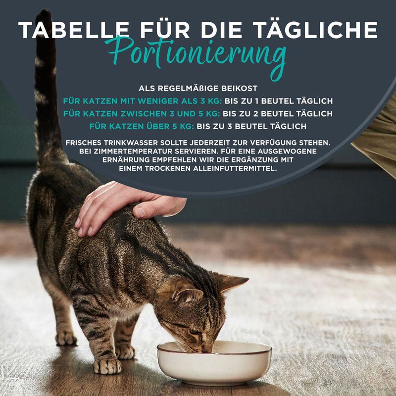 Sparpaket Encore Cat Pouch in Brühe 10 x 50 g