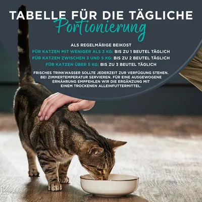 Sparpaket Encore Cat Pouch in Brühe 20 x 50 g