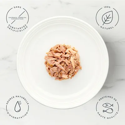 Encore 16 x 70 g boîtes pour chat