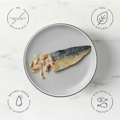 Encore Cat Mackerel Loin