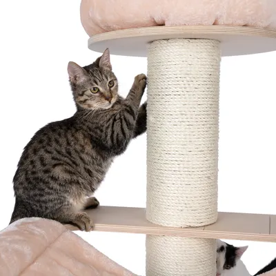 Cat using a scratching post on a multi-level cat tree, demonstrating product use and size. Another cat is partially visible below the platform.