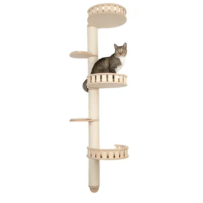 Cat tree made of wood with sisal post, multiple platforms and round balconies. Cat sitting on one of the upper levels.