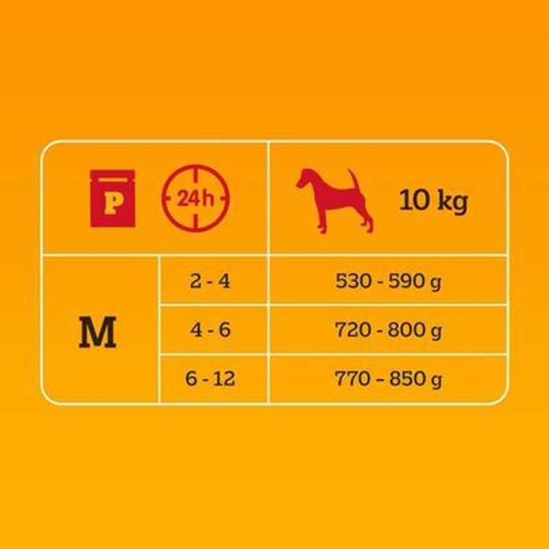 Pedigree Junior Maaltijdzakjes in Gelei Hondenvoer