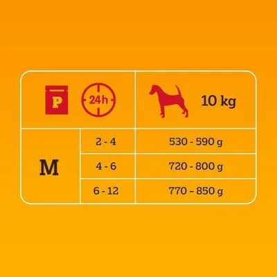 Pedigree Junior Maaltijdzakjes in Gelei Hondenvoer
